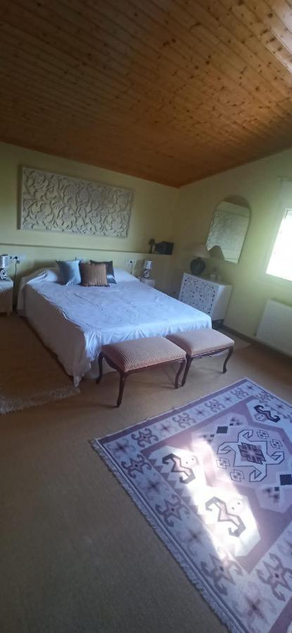 Vivienda El Olivo Con Piscina Privada Y Jardin. Villa Ayegui Eksteriør billede